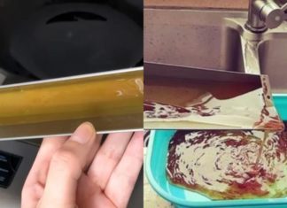 9 Surprising Uses of Cooking Oil in Range Hoods: Don’t Throw It Away, It’s a Treasure