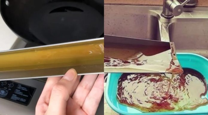 9 Surprising Uses of Cooking Oil in Range Hoods: Don’t Throw It Away, It’s a Treasure
