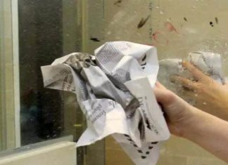 Don’t sell your old newspapers as scrap, here’s a much better way to make profit