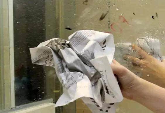 Don’t sell your old newspapers as scrap, here’s a much better way to make profit