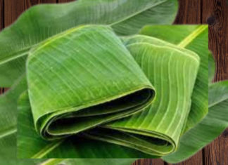 Why is nem chua wrapped in so many banana leaves? Why is giò chả rolled with banana leaves and not other leaves?