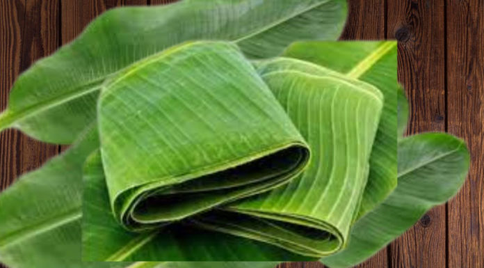 Why is nem chua wrapped in so many banana leaves? Why is giò chả rolled with banana leaves and not other leaves?