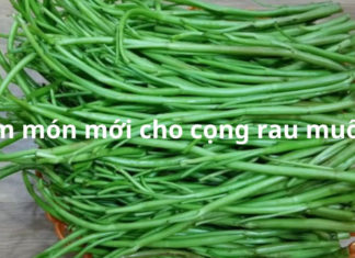 Don’t discard the stems when picking water spinach, bring some pickled salt with these 2 methods, change the taste for the whole family to enjoy