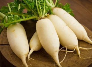 Root vegetable known as “white ginseng” combines with beef to create a nourishing soup that boosts immunity in cold weather