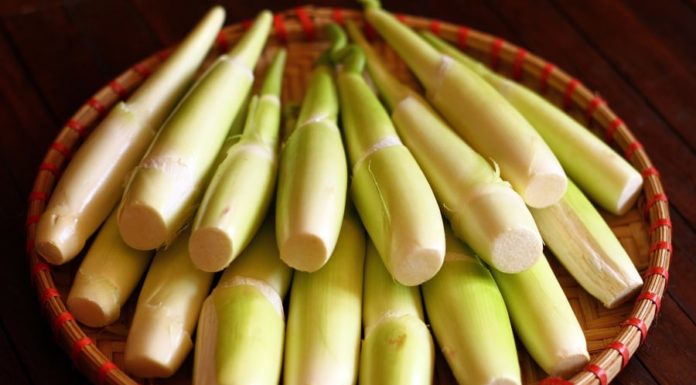 4 Types of Vegetables Full of Parasites that Vietnamese People Often Eat Raw, No Matter How They Are Cooked, Care Must Be Taken.