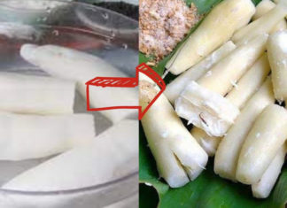 Dangerous yet delicious foods: Cook them right to eliminate the toxins.