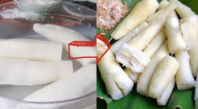 Dangerous yet delicious foods: Cook them right to eliminate the toxins.