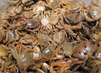 Cooking crab soup with bricks, adding just the right amount of sweet and sourness, restaurant-quality flavor.