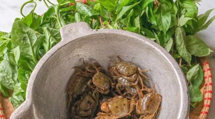 Delicious and visually appealing crab soup – Add a touch of something else