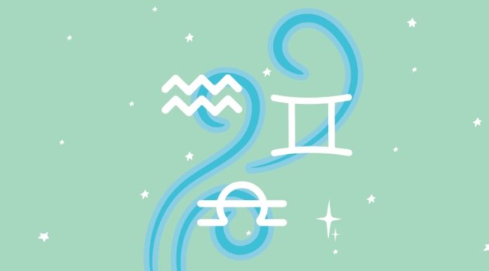 The Ultimate Guide to Bows: Unraveling the Art of Archery and Its Elegant Weaponry