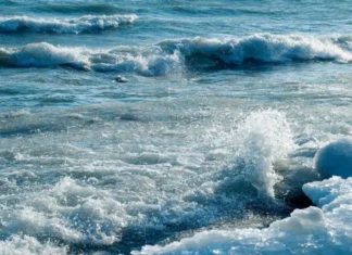 What is Water sign? Traits of Water sign