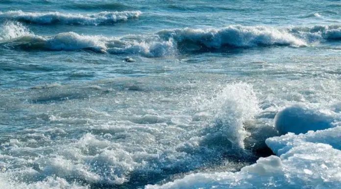 What is Water sign? Traits of Water sign