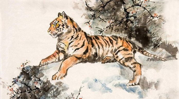 From 5/11 to 25/11: 4-year-olds grasp luck, skyrocketing income, billions of dollars in hand every day