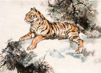 A Clear Sky: At 4 years old, riding on the back of a Dragon, collecting gold on the streets, bringing home a fortune by the end of 2023.