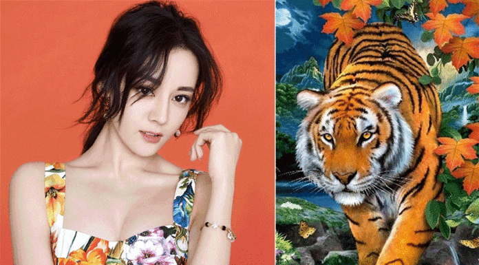 A Prosperous December at the Age of Four, a Fulfilling January Awaits, Abundance Fills the House