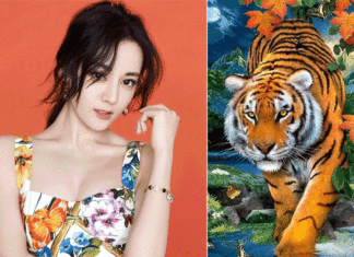 Blossoming Romance: A Lucky Age of 4, Overflowing with Love, Escaping Singlehood Early by 2023