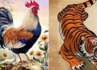 Lucky Fortune for 3 Zodiac Signs in Business, Abundant Luck, Money Flowing Like Water until Lunar New Year