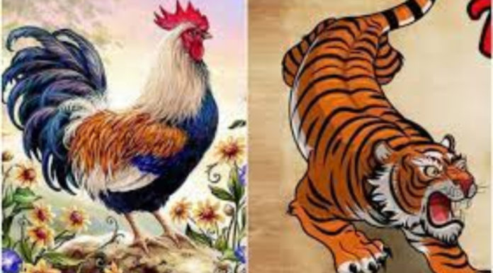 Lucky Fortune for 3 Zodiac Signs in Business, Abundant Luck, Money Flowing Like Water until Lunar New Year