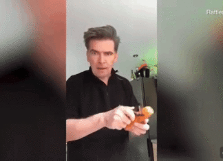 Discover the amazing wonders that can be done with the simple action of slicing fruits and vegetables!