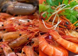 Should I eat shrimp heads? Are shrimp heads as rich in calcium as shrimp meat? Many people are misunderstanding and doing it wrong.