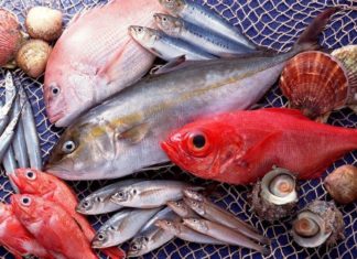 4 Types of Mercury-Containing Fish: The Second Type is Especially Harmful
