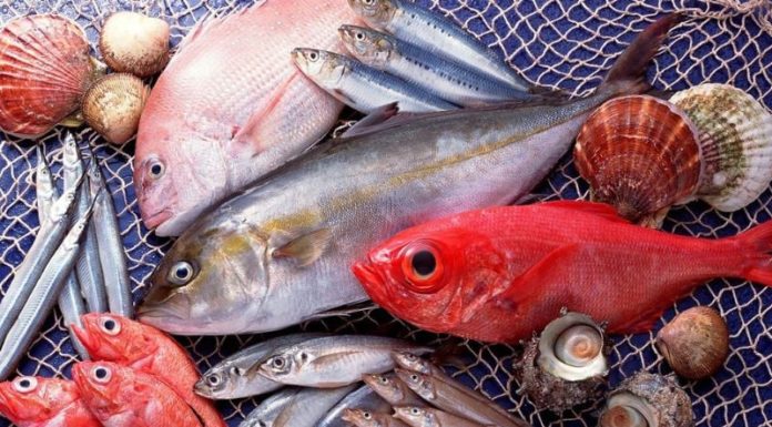 4 Types of Mercury-Containing Fish: The Second Type is Especially Harmful