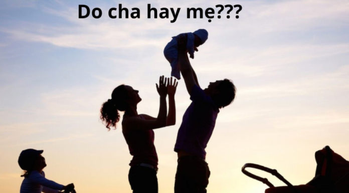 Influence of Parents or External Factors on Personality Development.