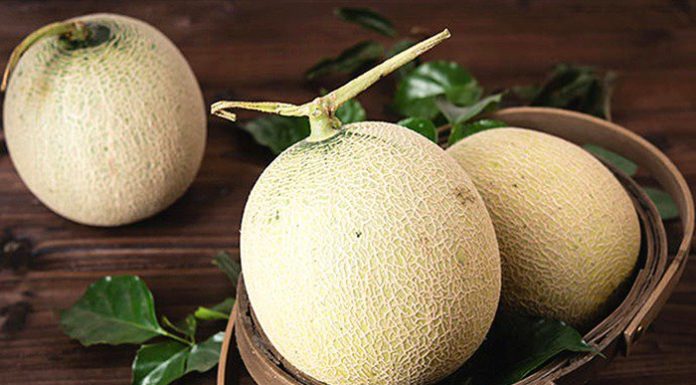 Choose Watermelon, Look at the Rind and See Clearly This is a Clear Sign of a Juicy Fruit, Don’t Miss Out