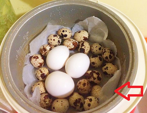 Cook Eggs Softly and Nutritiously Without Water by Placing a Piece of Food Wrap in the Pot