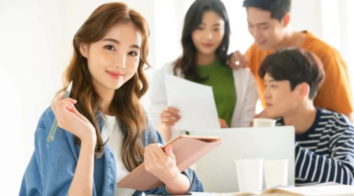 What is the difference between fresher and intern? Differentiating the terms fresher and intern