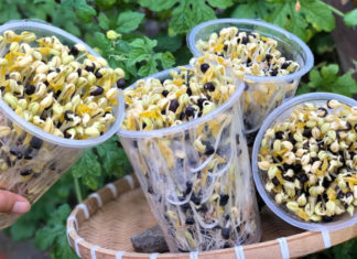 Whip up a nutritious and delicious egg stir-fry with these ingredients to delight your family on an autumn day