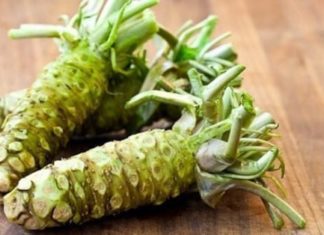 A memory-enhancing and antioxidant spice beloved by the Japanese: Not just ginger or turmeric