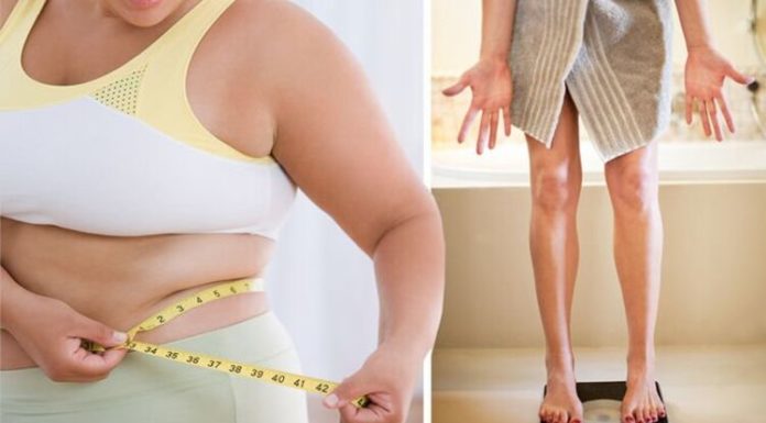 10 Regular Golden Foods in Your Menu for Faster Weight Loss