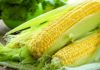 Can eating corn instead of rice help with weight loss?