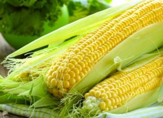 Can eating corn instead of rice help with weight loss?