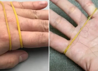 Wrap a nylon bag around your broom and collect all the stray hair without the need for a vacuum cleaner.