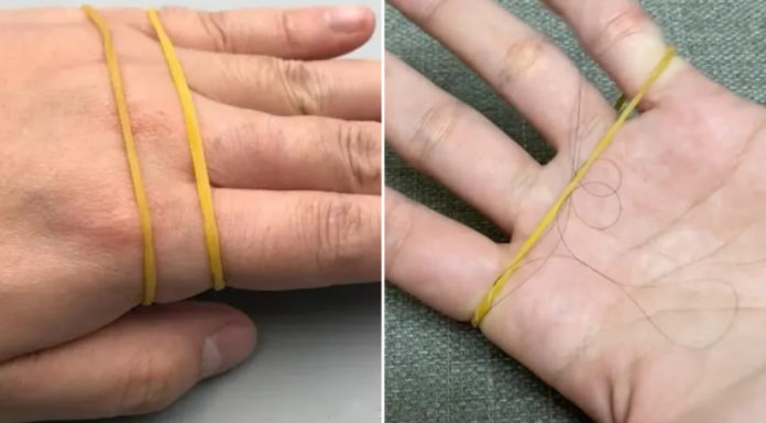 Wrap a nylon bag around your broom and collect all the stray hair without the need for a vacuum cleaner.