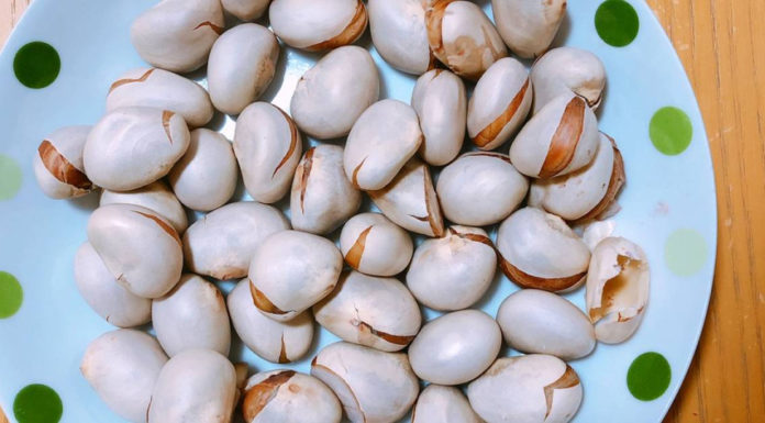 Don’t throw away jackfruit seeds, you’ll be amazed at their beauty benefits