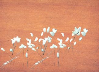 Ancestral teachings: Identify this sign at your doorstep for abundant fortune and wealth