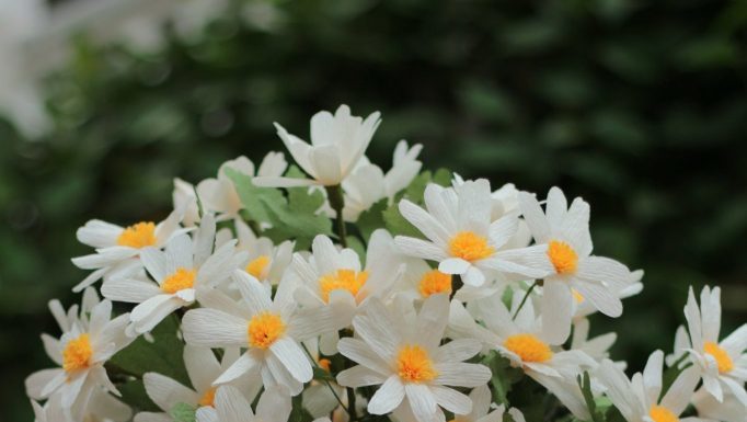 Tips for Long-lasting Preservation of Handmade Paper Flowers