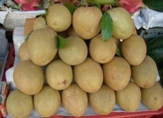 Tips for choosing delicious lychees without chemical soaking, every mother should know.