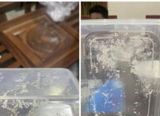 Using Safe Plastic Box in Microwave Oven