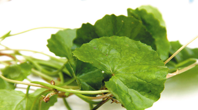 4 Effective Home Remedies to Get Rid of Acne Scars