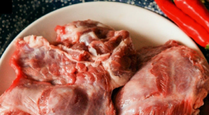 The Pig Sits on Something Worth Only Two Liang: Precious as a Thousand-Year Ginseng, Can’t Get Fat No Matter How Much It Eats