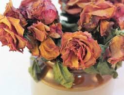 ‘Never keep these 4 things in your home no matter how poor you are.’