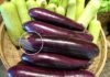 Pocket these secrets for choosing delicious, tender eggplants with no preservatives