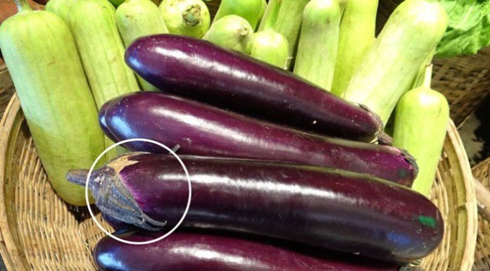 Pocket these secrets for choosing delicious, tender eggplants with no preservatives