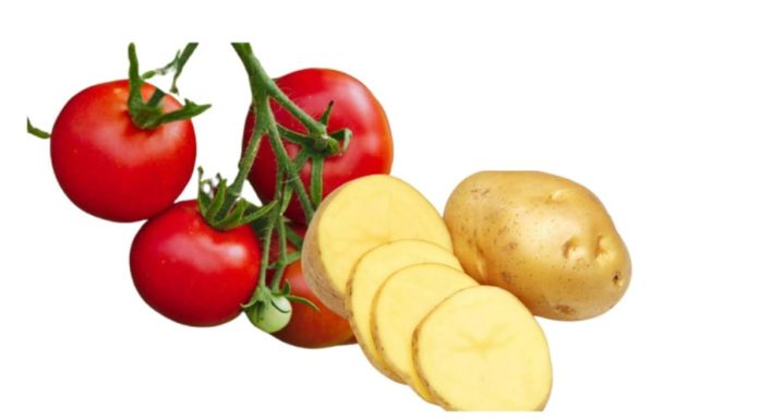 9 Types of Fruits and Vegetables You Shouldn’t Eat the Skin of if You Don’t Want to Get Poisoned or Damage Your Brain.