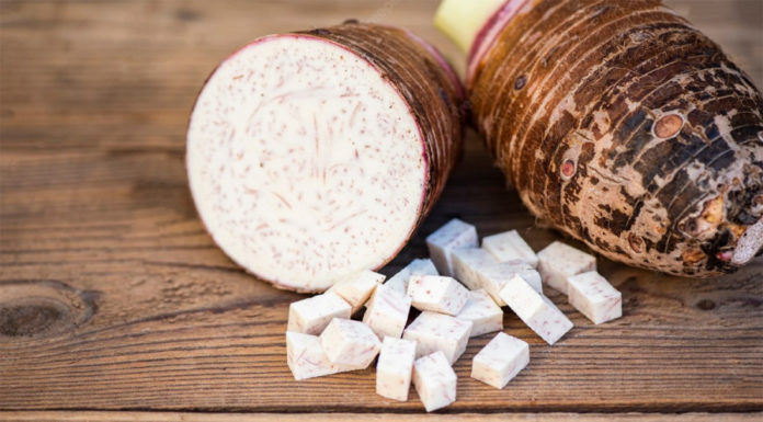 Cheap Root Vegetable that Japanese People Describe as “Long-Living Bulb” – Cooking it this Way Makes it Tastier than Fish Meat