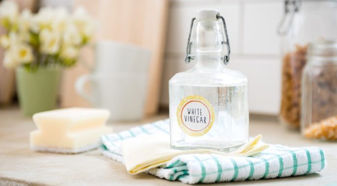 Budget-friendly spice that is a “odor killer”: Effective in the fridge & bathroom